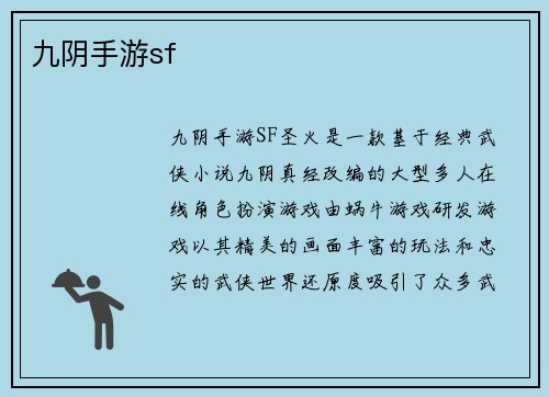 九阴手游sf